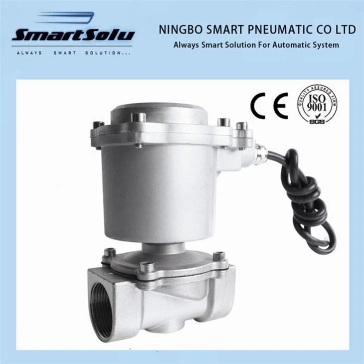 Patlamaya Dayanıklı Yağ Solenoid Valfı